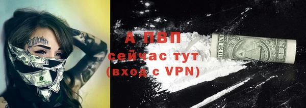 a pvp Абаза