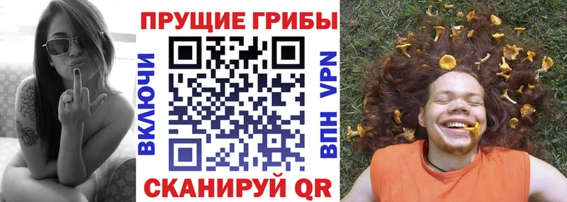 Псилоцибиновые грибы мицелий  kraken сайт  Шахунья 